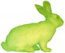 green-rabbit.jpeg